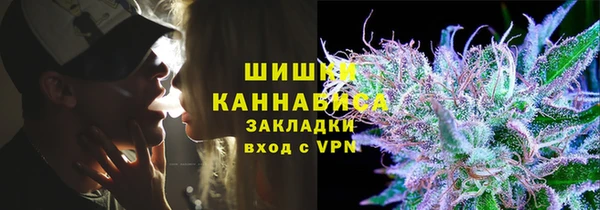 стаф Бородино