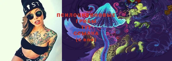 гидропоника Богородск