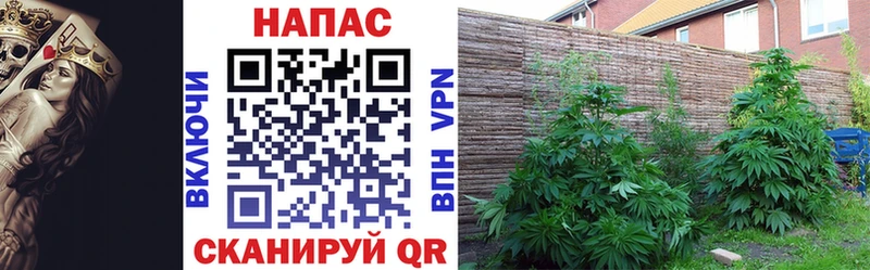 купить наркотики сайты  Дегтярск  Шишки марихуана план 